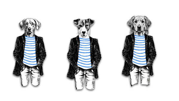 Nieuwe test toont aan dat honden verrassend menselijk zijn